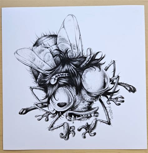 Fly Pencil Drawing Giclee Print - Etsy