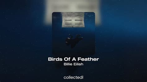 Billie Eilish Birds Of A Feather YouTube