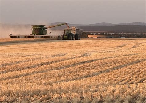 Viterra Harvest Receivals Pass 3 4mt Grain Central