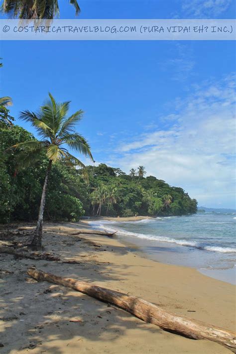 2021 Photos Of Playa Chiquita Costa Rica Caribbean From Our