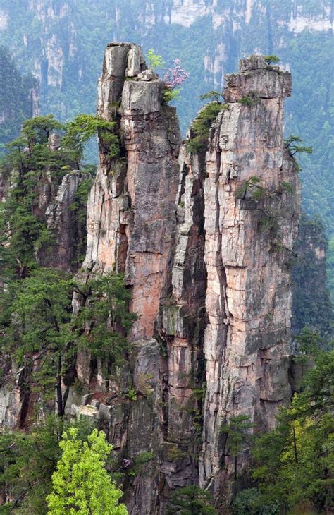 Zhangjiajie Nationaler Forest Park Im Provinz Hunan China Stockfoto