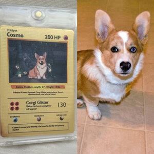 Custom Pokemon Card, Custom Metal Pokemon Card, Pokemon Cards, Custom ...