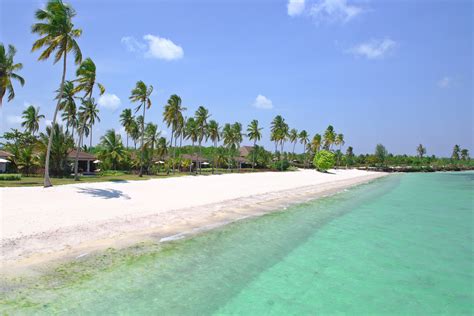 These are some of the best beaches in Zanzibar that you can explore during your visit. You can ...