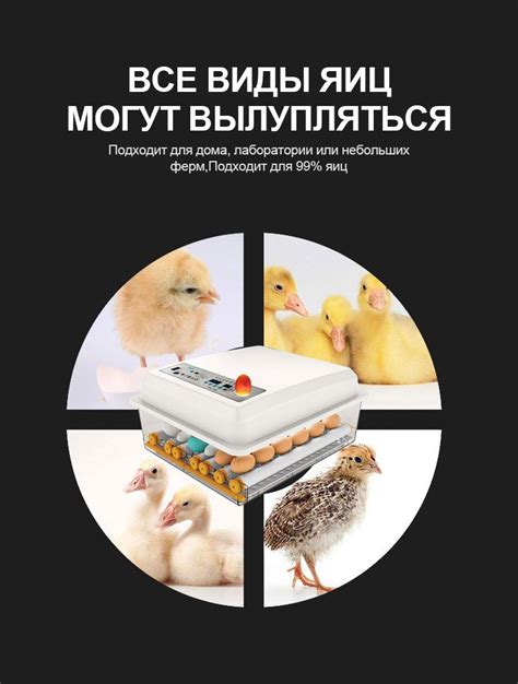 16 автоматических инкубаторов для яиц с термостатами, автоматическая ...
