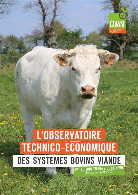 Observatoire technico économique des systèmes bovins viande Première