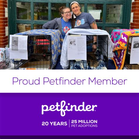 Home | SOS Pet Rescue