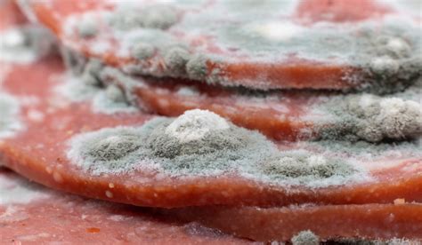 How Long Does Pepperoni Last? Surprising Facts You Would Want to Know