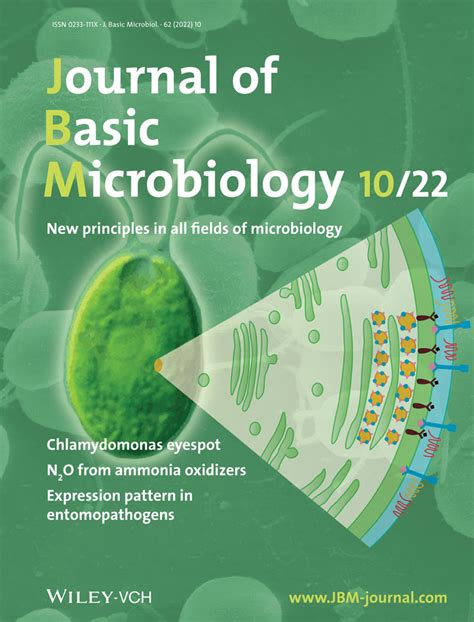 Diversity And Phylogeny Of Culturable Spore‐forming Bacilli Isolated