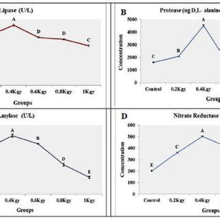 Effect Of Gamma Radiation Doses On Some Enzymatic Activities Of