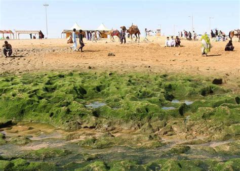 Chabahar Beautiful Beaches - Iran Travel Guide - Trip Yar