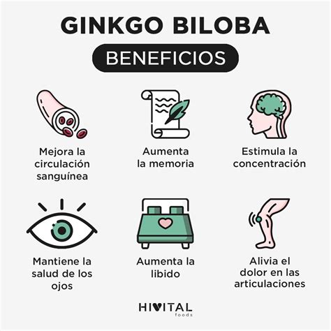 Ginkgo Biloba Propiedades Beneficios Dosis Y Efectos Artofit