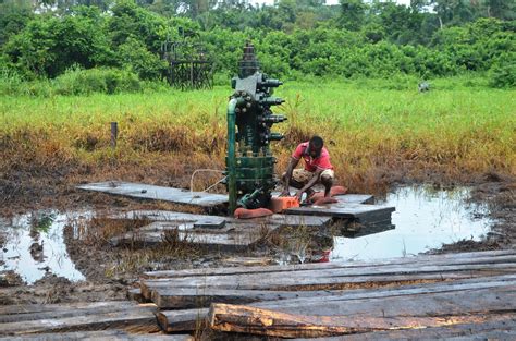 Environmentalists seek establishment of labs in niger-delta to solve ...