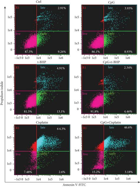 CpG ODN Decreased Cell Apoptosis And Reduced Apoptosis Related Protein