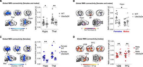 Sex Biasing Influence Of Autism Associated Ube A Gene Overdosage At Connectomic Behavioral And