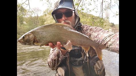 Big Grayling On Nymph Sana River Tandt Contact 2 Musicarenje Reka Sana