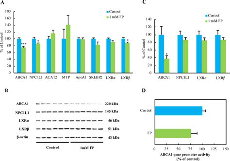 Effects Of Fp On The Expression Of Cholesterol Metabolism Related Genes Download Scientific