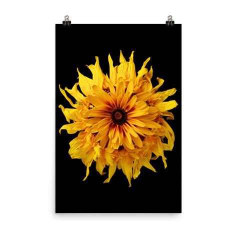 Print Van Vonflora Zonnebloemen Print Zonnebloem Wall Art Zonnebloem