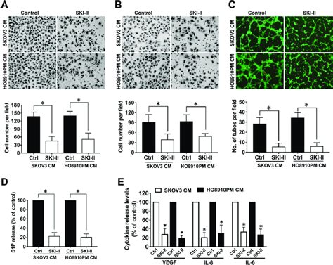 Effect Of Sphk Inhibition By Ski Ii On Angiogenesis In Vitro A Cell