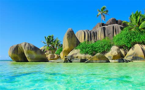 Hintergrundbilder Meer Bucht Sand Steine Strand Küste Palmen