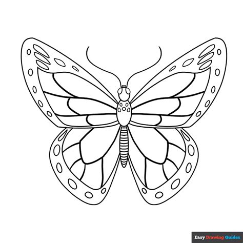 printable animal coloring pages  kids