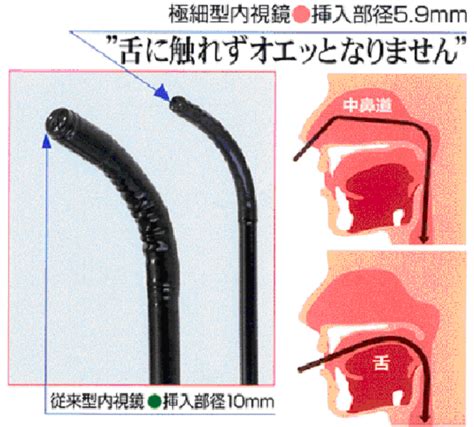 永井クリニック 鈴鹿市、内科、消化器内科、外科