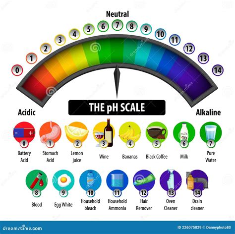 Scale Diagram Of The PH Scale Value For Acidic And Alkaline Solutions ...