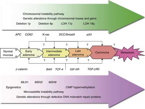 Microsatellite Instability In Colorectal Cancer S Reide Bjs