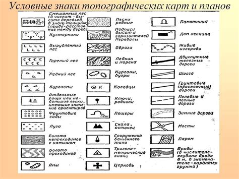 Помогите решить соч по естеству знанию вот вопрос ? прочитай рассказ и ...