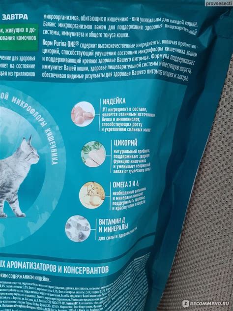 Корм для кошек PURINA ONE для домашних кошек индейка #1 ингредиент в ...