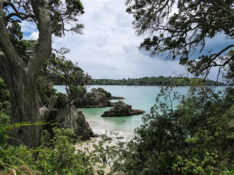 Waiheke Island Walks (Hauraki Gulf, New Zealand) – Two At Sea