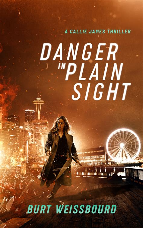 Review of Danger in Plain Sight (9781733438216) — Foreword Reviews