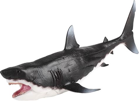 Tubar O Veja Em Tamanho Real Hot Sale Emergencydentistry