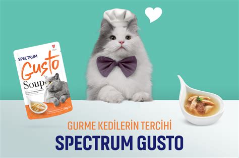 Gusto - Spectrum