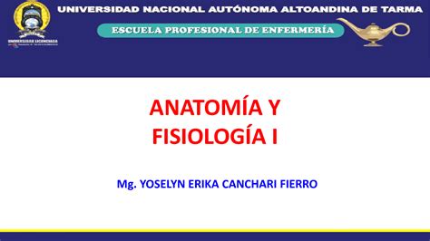 Solution Semana Anatom A Y Fisiolog A I Studypool