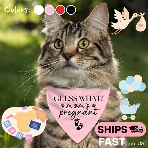 Pregnancy Reveal Cat Bandana: Mom's Pregnant Announcement Outfit - Etsy