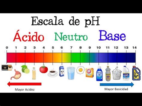 Descubre La Gu A Definitiva De La Tabla De Ph De Los Alimentos Todo Lo