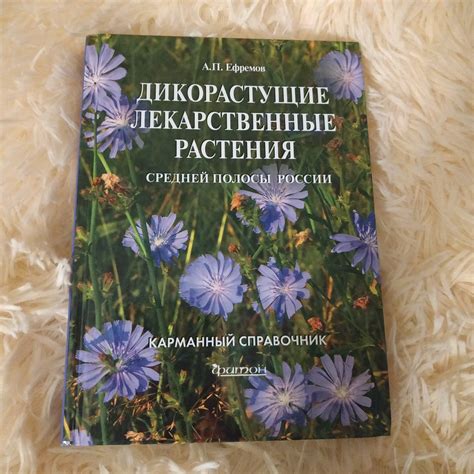 Дикорастущие лекарственные растения средней полосы России. А. П ...