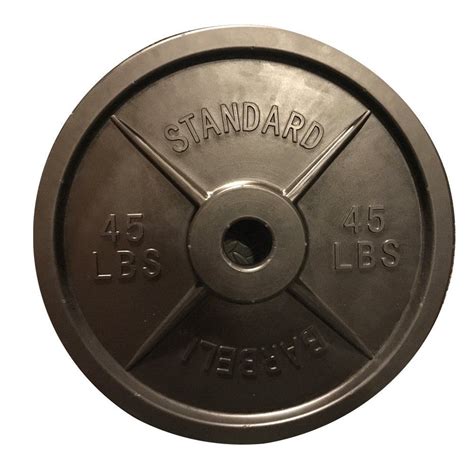 Fake Barbell Plates 1 Pair Of Barbells 3 Lbs Each 174 In Diameter