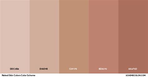 Naked Skin Colors Color Scheme Palettes SchemeColor