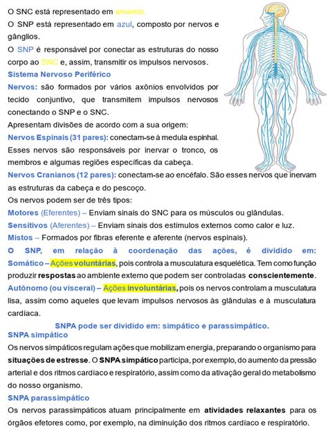 Aula 4 Resumo Sistema Nervoso Pdf