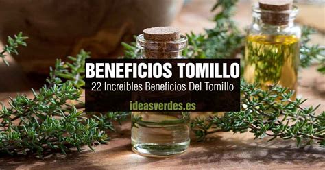 22 Increíbles Beneficios Y Usos Del Tomillo Para La Salud Ideas Verdes