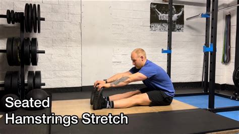 Seated Hamstrings Stretch YouTube