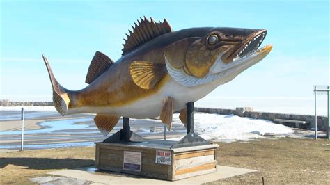 DNR Sets Winter Walleye Fishing Regulations for Upper Red Lake, Mille ...