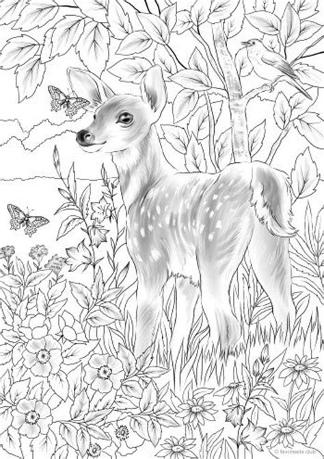 Baby Deer Printable Adult Coloring Page From Favoreads Coloring Book