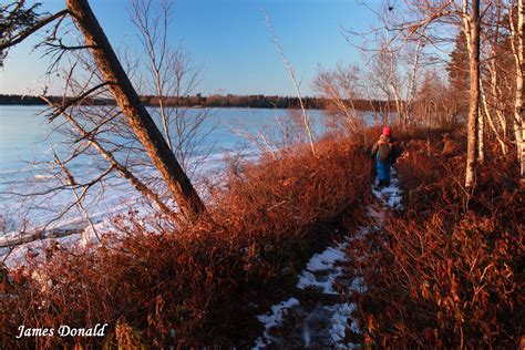 Shoreline Trail