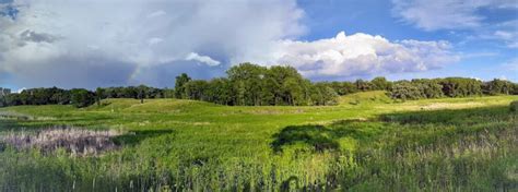 Gallery Village Of Prairie Grove