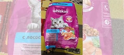 Корм для кошек купить в Балашихе | Животные и зоотовары | Авито