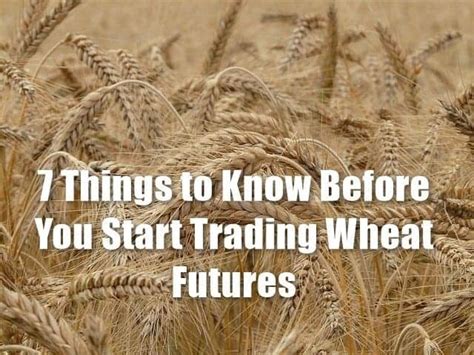 Wheat Futures – 7 Things to Consider Before Trading – – Tradingsim