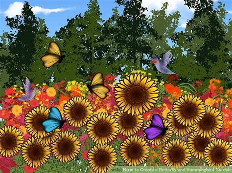 How to Create a Butterfly and Hummingbird Garden: 6 Steps