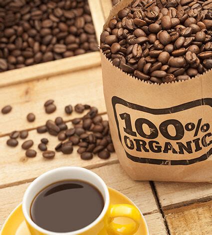 Café Orgânico é aquele cultivado sem o uso de fertilizantes